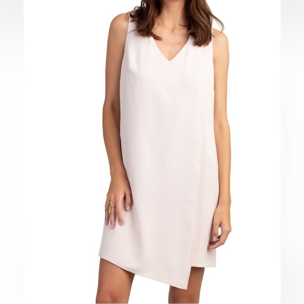 Trina‎ Turk Magnificence Dress in Birch blush pink Sz S